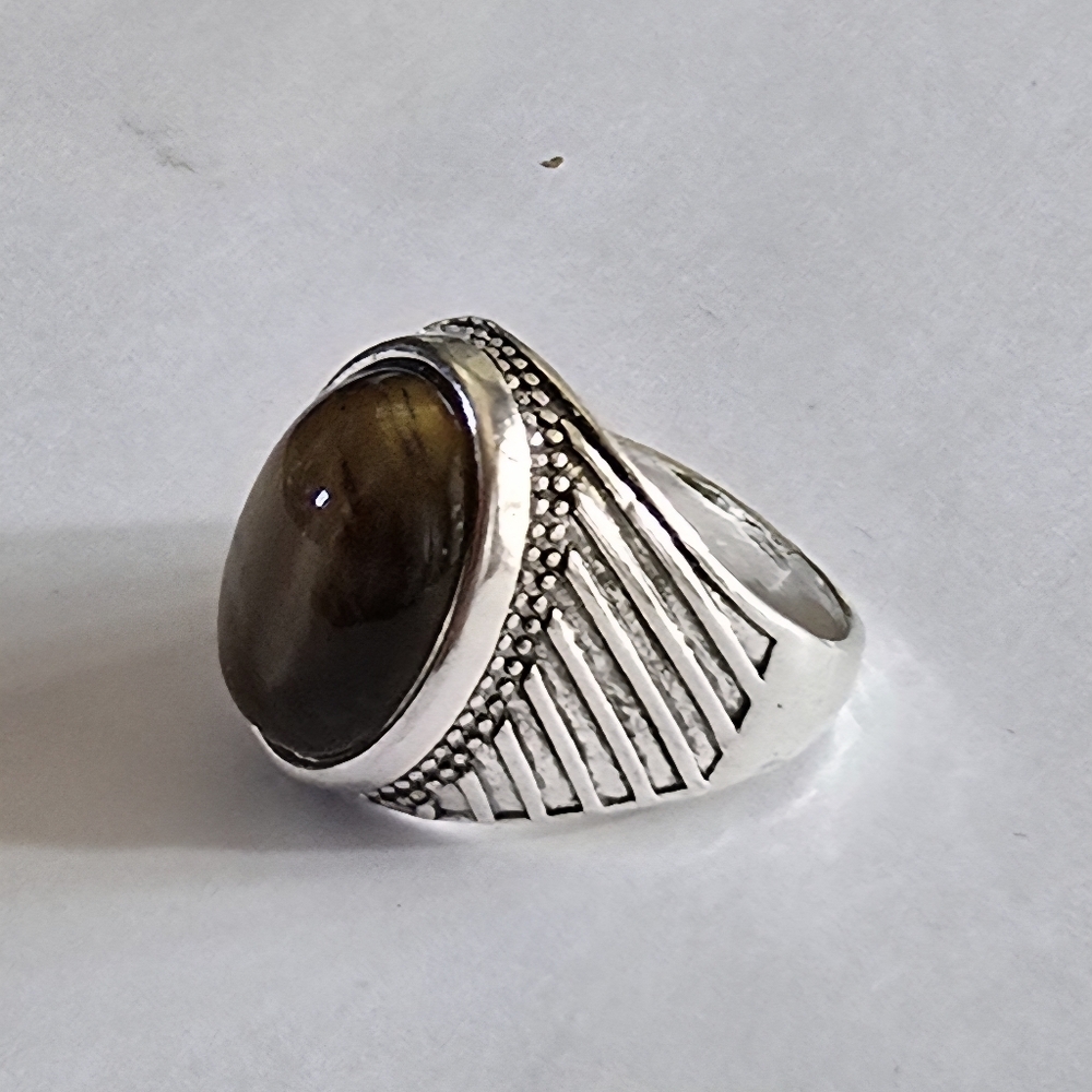 TIGEREYE MENS NEW SIZE 11 QUALITY TITANIUM SILVER CLASSIC RING - Picture 3 of 6
